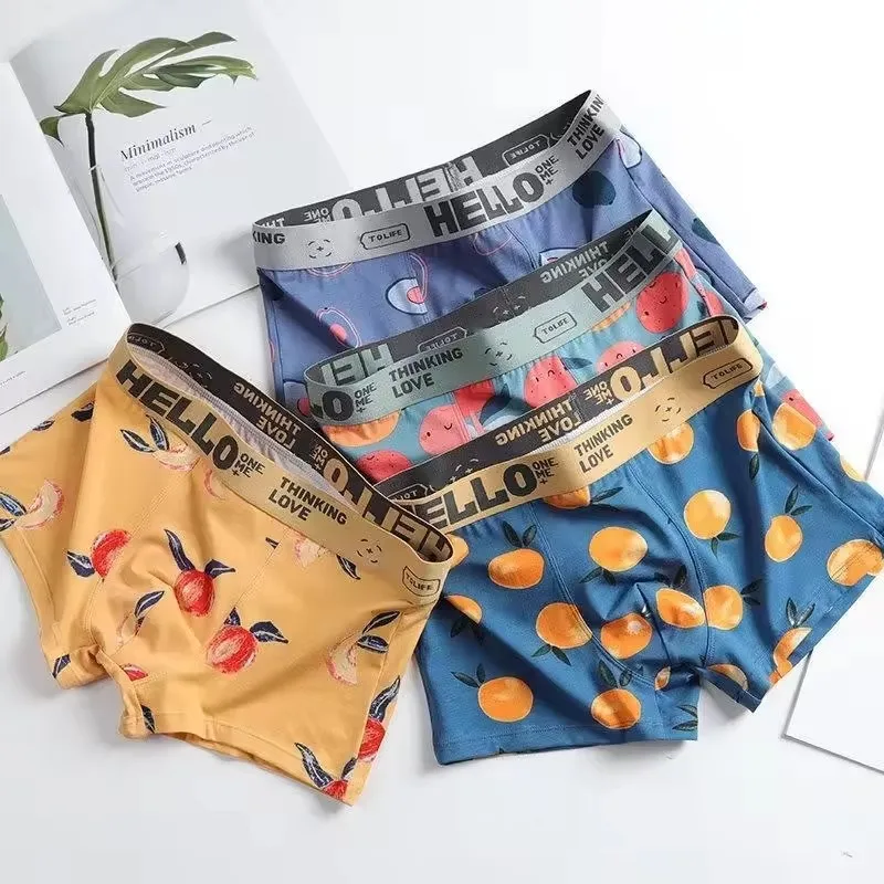 Paquete de 1/2/4 Calzoncillos  - Boxer Brief Pack Cotton reseña y precio
