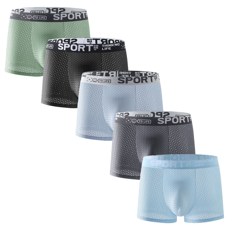 Paquete de 5 Calzoncillos Boxe - Mesh Sport Boxer reseña y precio