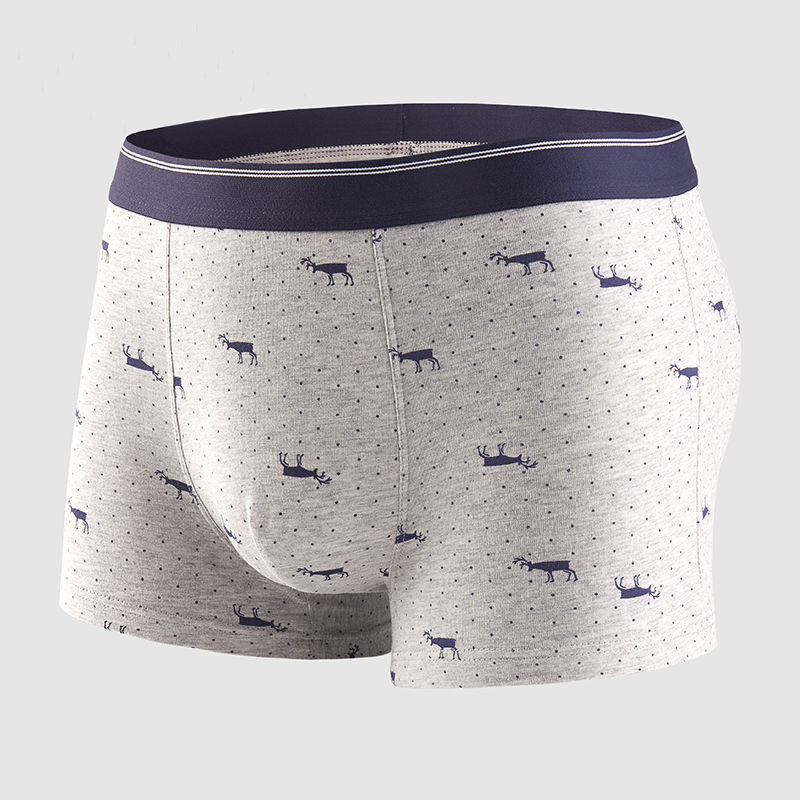 Calzoncillos de algodón para h - Boxer Brief Pack Cotton reseña y precio